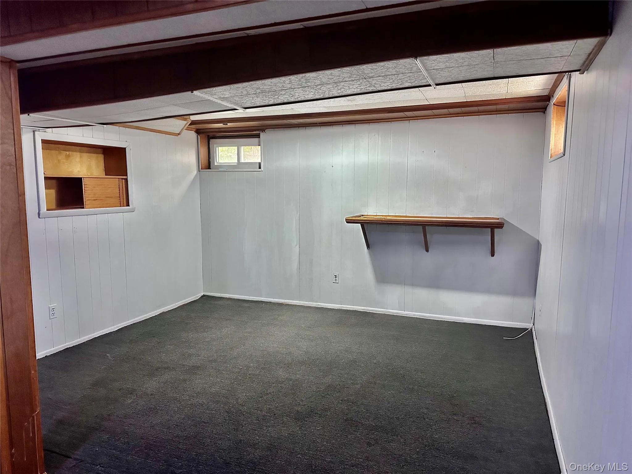 Basement featuring wood walls and dark carpet Basement featuring wood walls and dark carpet