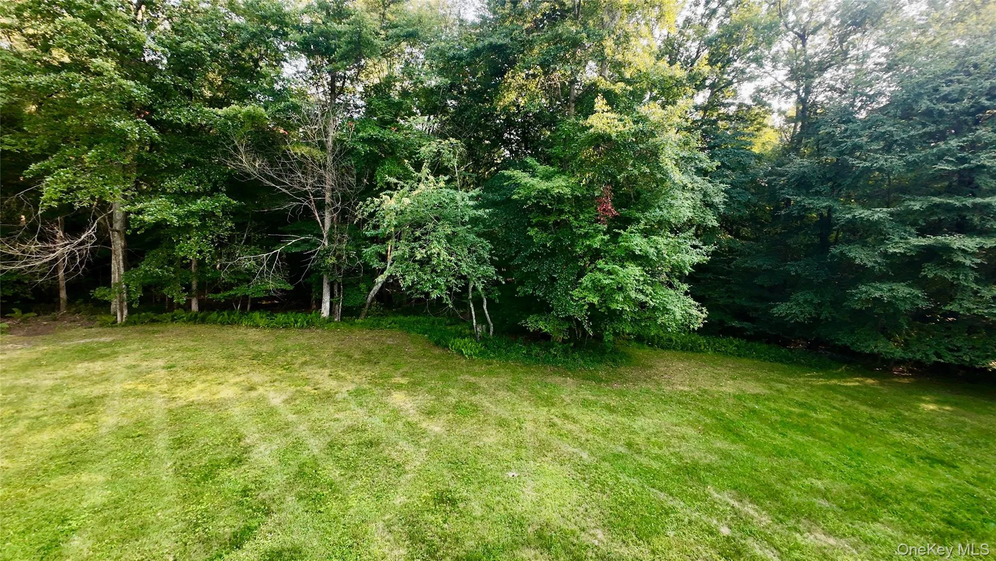 109 White Birch Lane, Montgomery, NY, ,Land,For Rent,White Birch,0,932689 109 White Birch Lane, Montgomery, NY, ,Land,For Rent,White Birch,0,932689