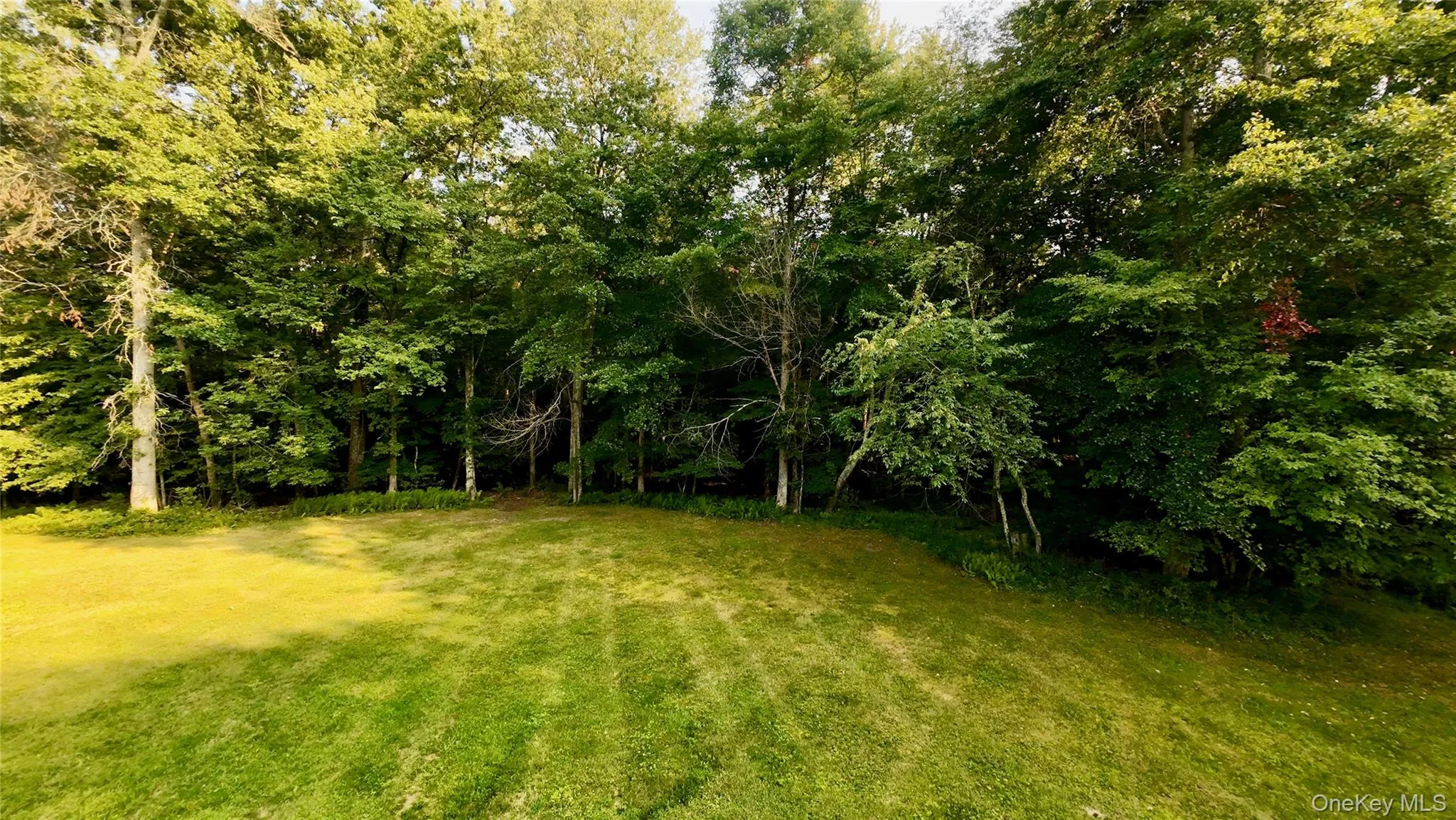 109 White Birch Lane, Montgomery, NY, ,Land,For Rent,White Birch,0,932689 109 White Birch Lane, Montgomery, NY, ,Land,For Rent,White Birch,0,932689