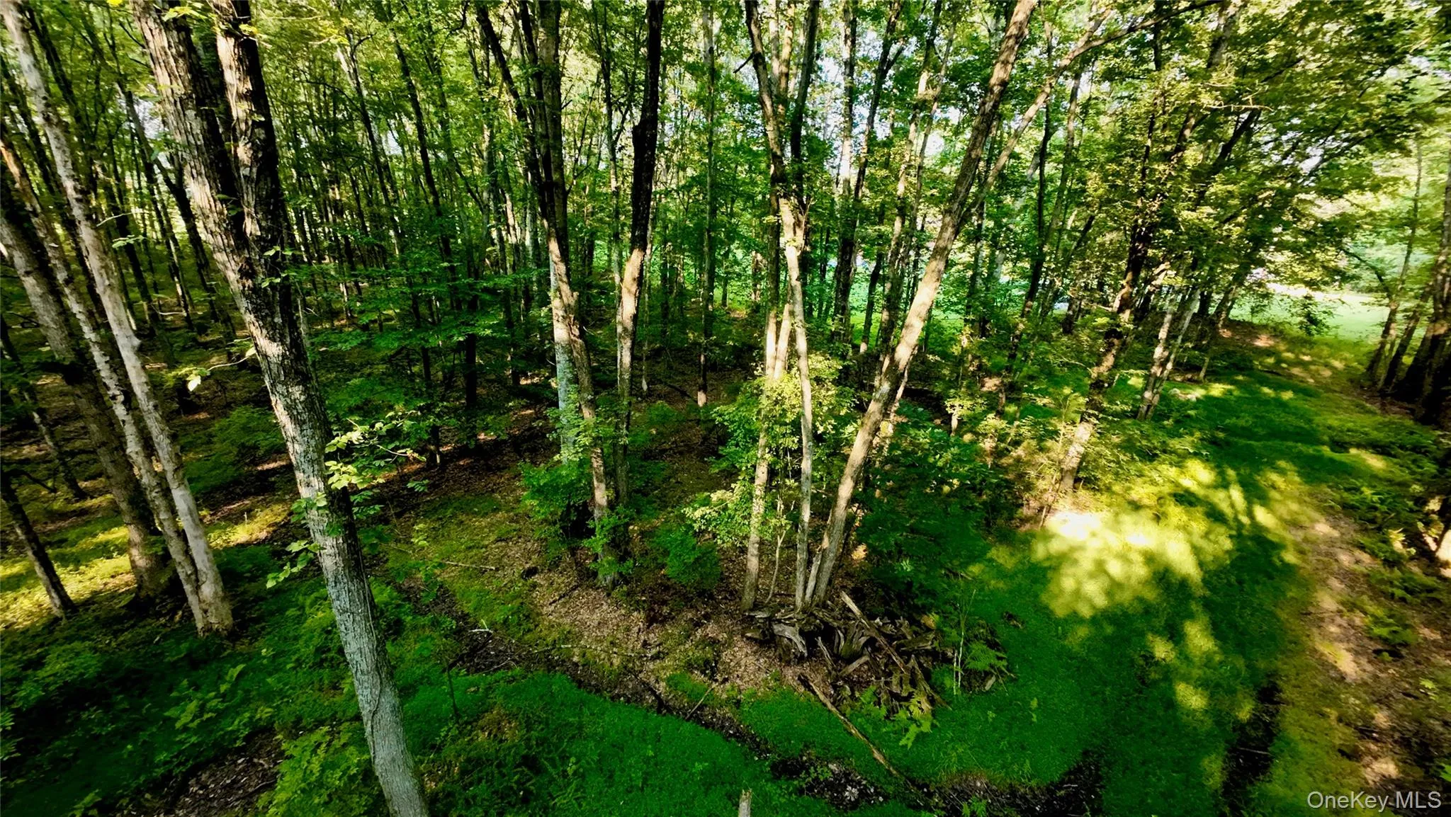 109 White Birch Lane, Montgomery, NY, ,Land,For Rent,White Birch,0,932689 109 White Birch Lane, Montgomery, NY, ,Land,For Rent,White Birch,0,932689