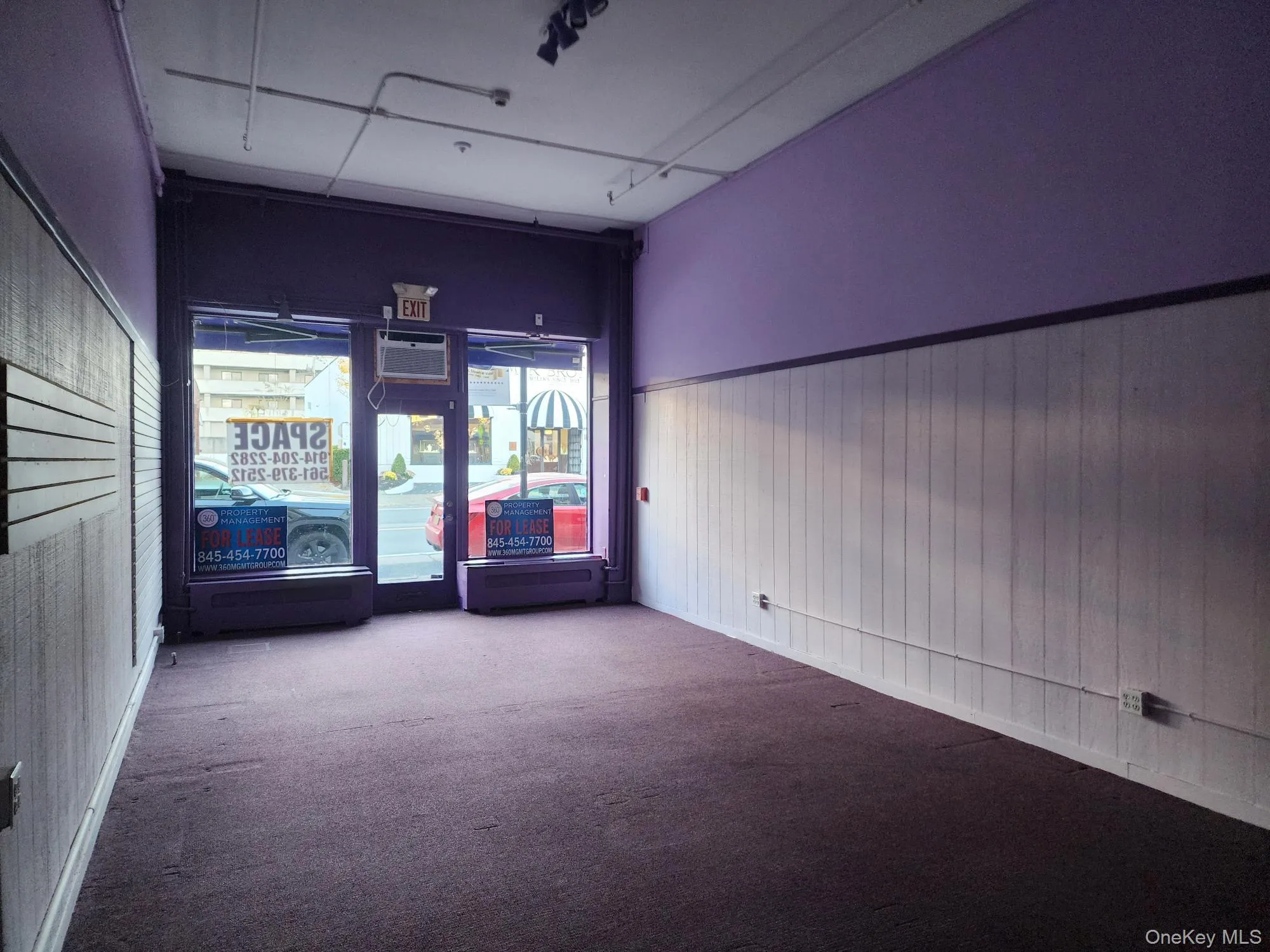 Unfurnished room with wood walls, carpet floors, and a wainscoted wall Unfurnished room with wood walls, carpet floors, and a wainscoted wall