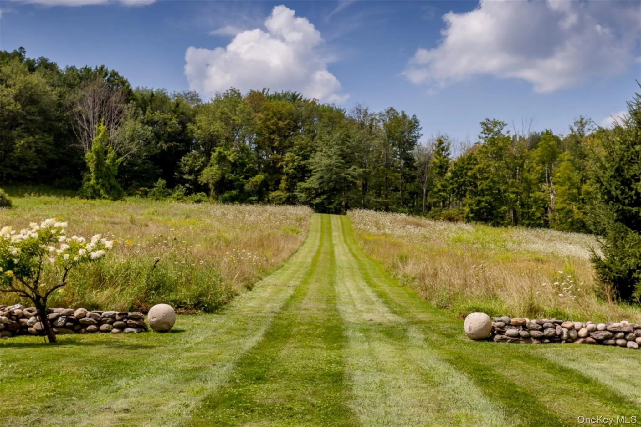 8 Old Killearn Road, Washington, NY, 6 Bedrooms Bedrooms, 10 Rooms Rooms,6 BathroomsBathrooms,Residential Lease,Idx,Old Killearn,0,932840 8 Old Killearn Road, Washington, NY, 6 Bedrooms Bedrooms, 10 Rooms Rooms,6 BathroomsBathrooms,Residential Lease,Idx,Old Killearn,0,932840