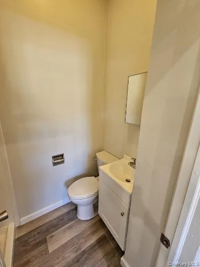 Bathroom with dark wood-type flooring and vanity Bathroom with dark wood-type flooring and vanity