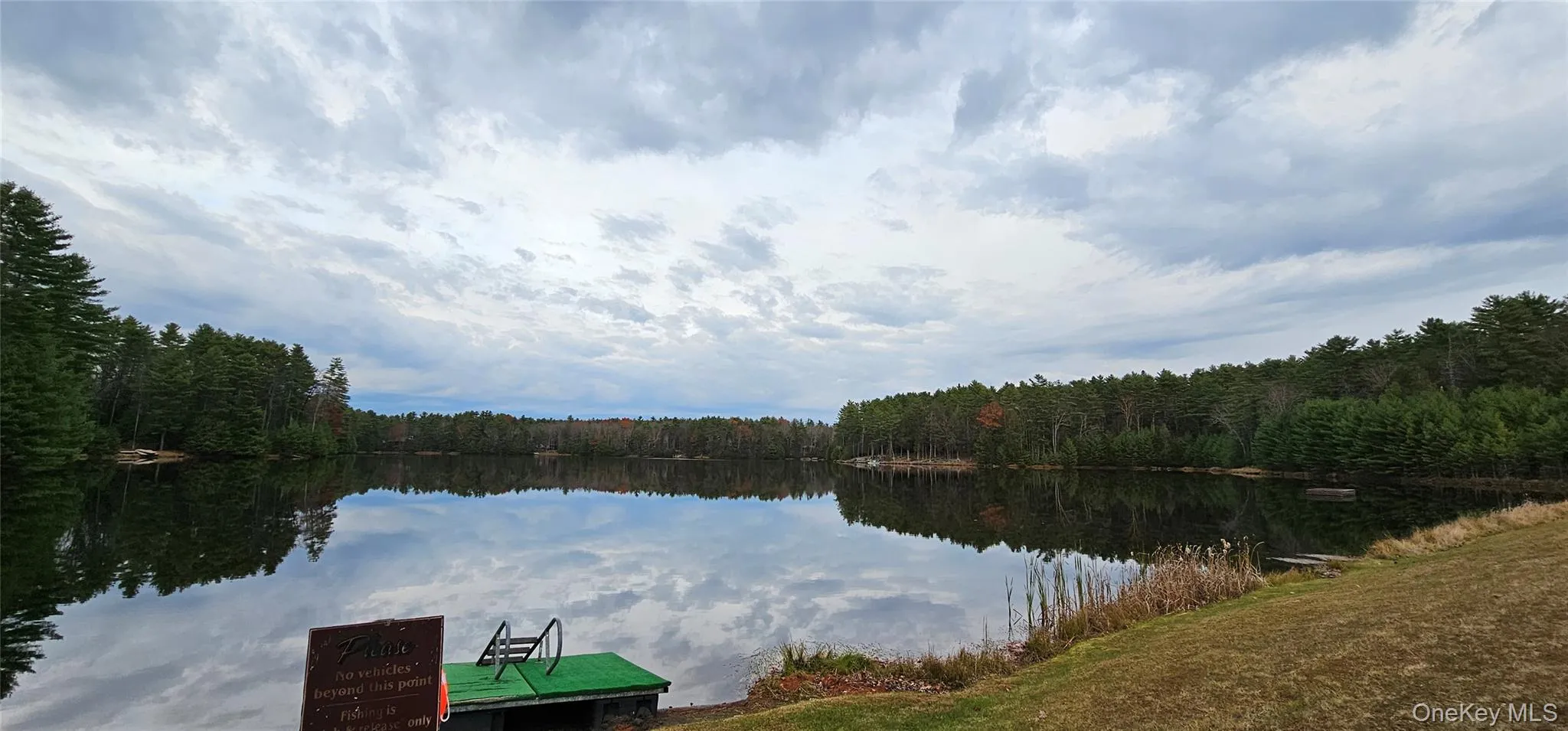 Water view with a heavily wooded area Water view with a heavily wooded area