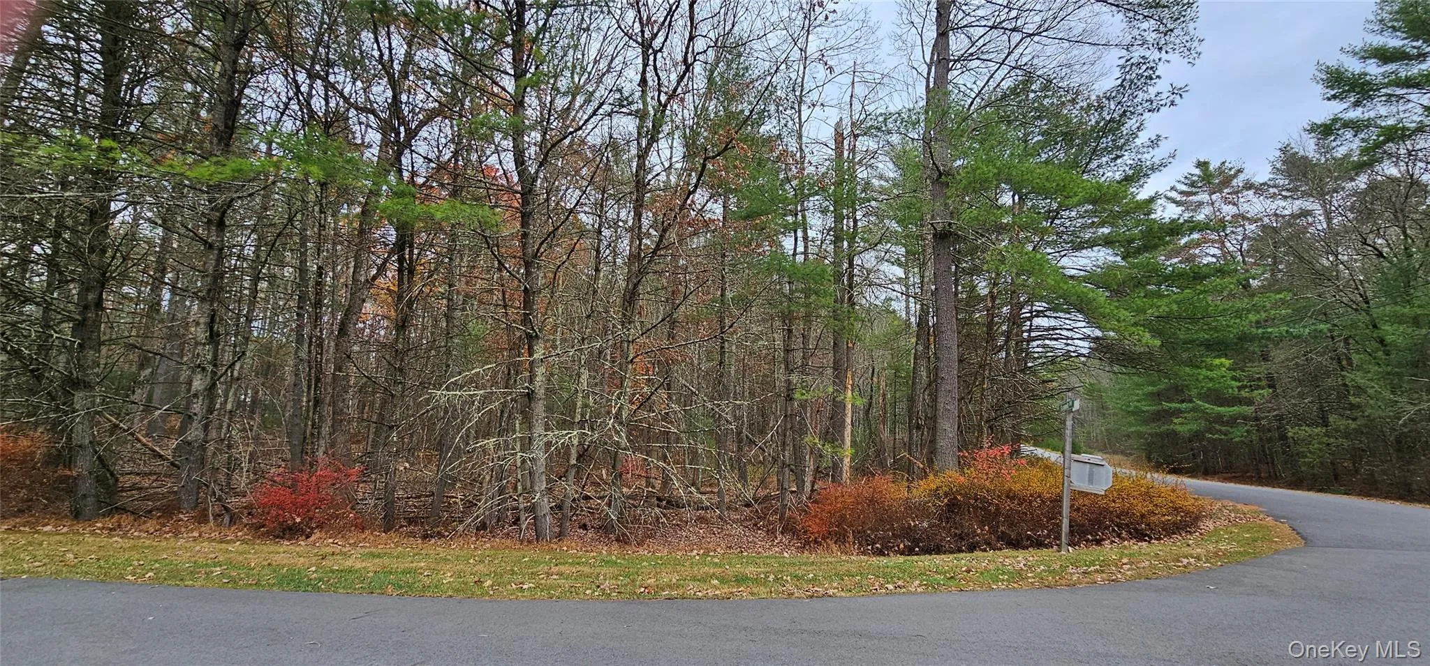 View of asphalt road with a view of trees View of asphalt road with a view of trees
