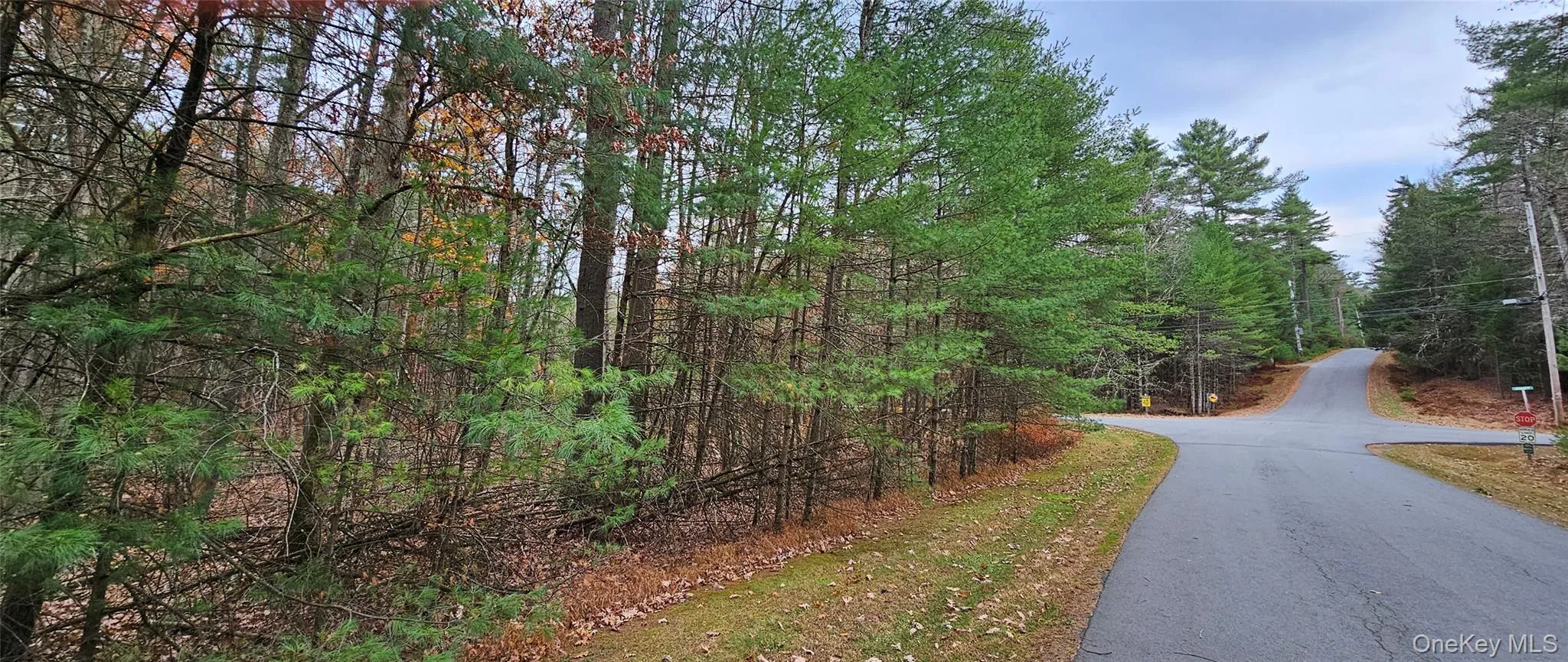 View of asphalt street with a wooded view View of asphalt street with a wooded view