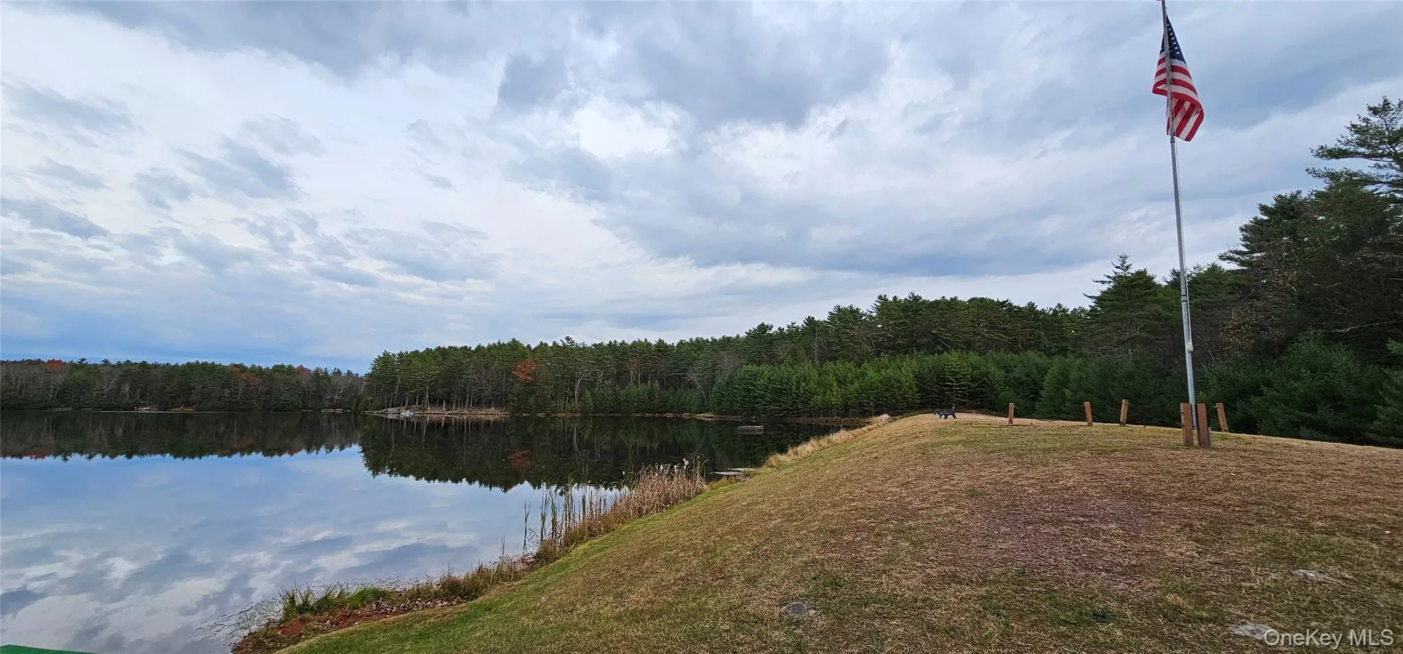 Water view with a heavily wooded area Water view with a heavily wooded area