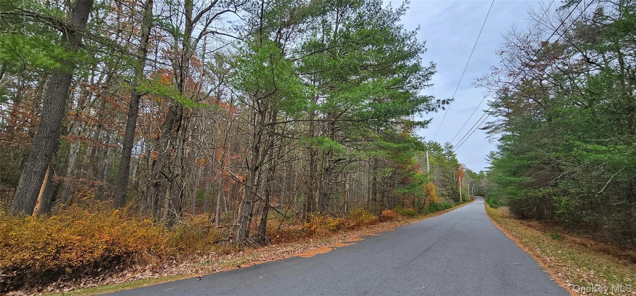 View of asphalt road featuring a forest view View of asphalt road featuring a forest view