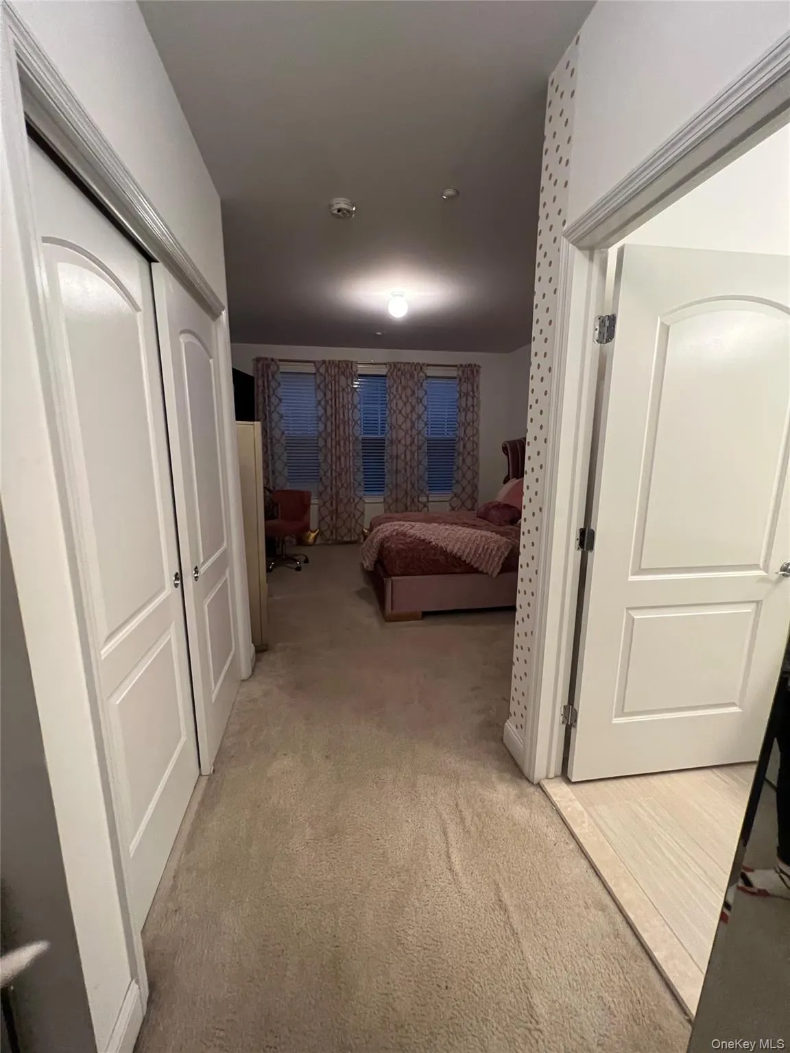 Bedroom with light carpet and a closet Bedroom with light carpet and a closet