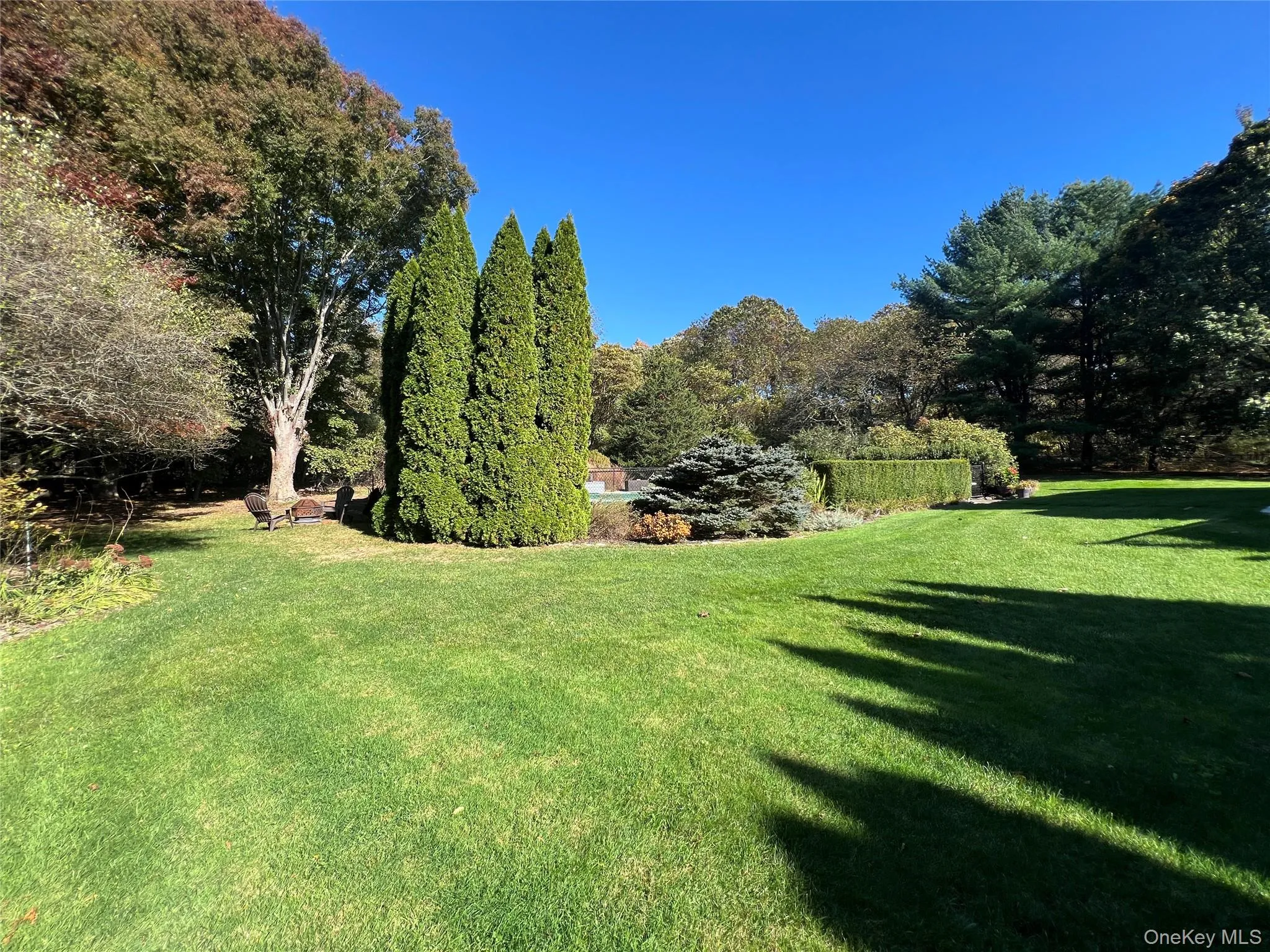 View of green lawn featuring view of wooded area View of green lawn featuring view of wooded area