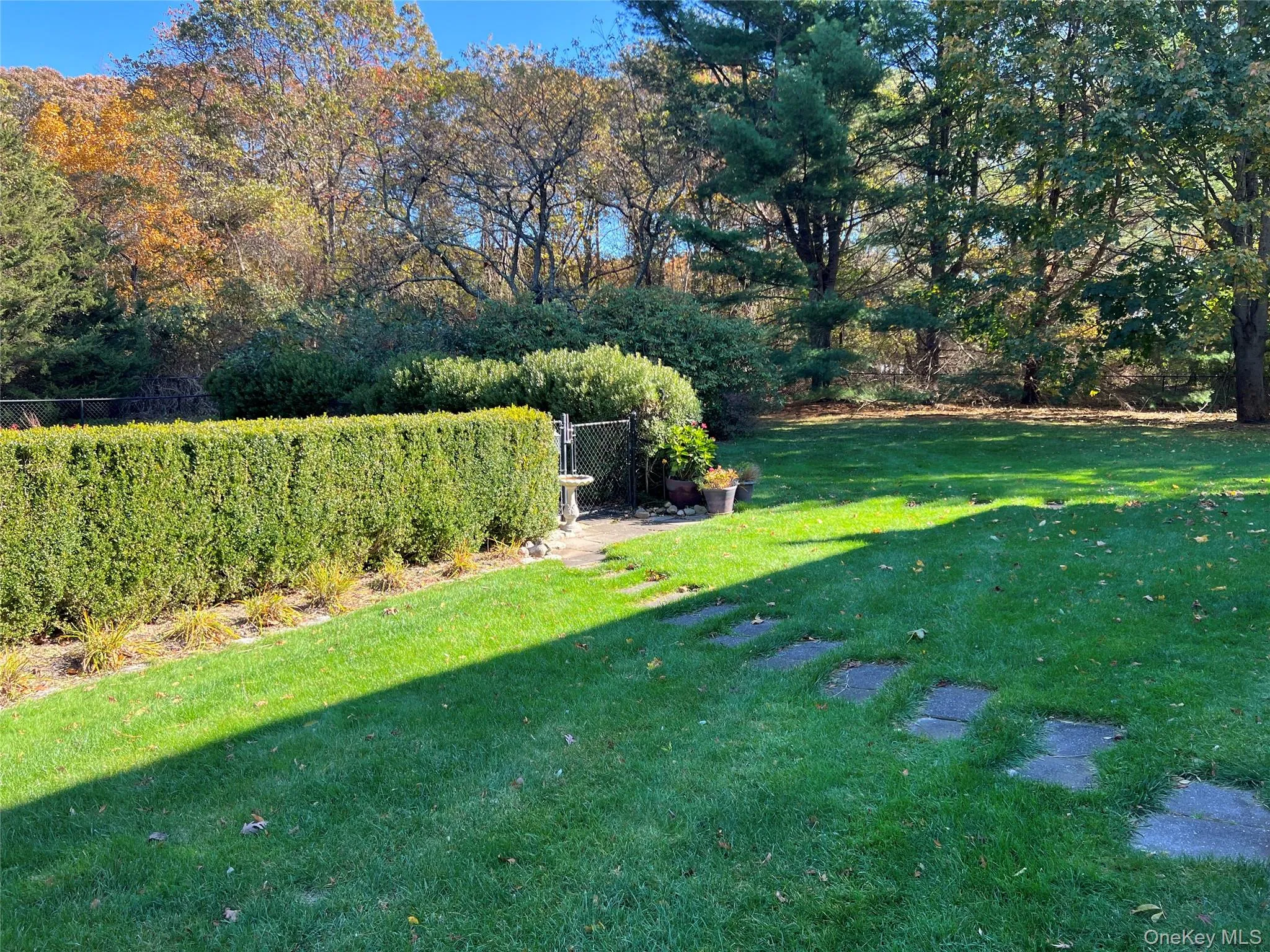 View of yard View of yard