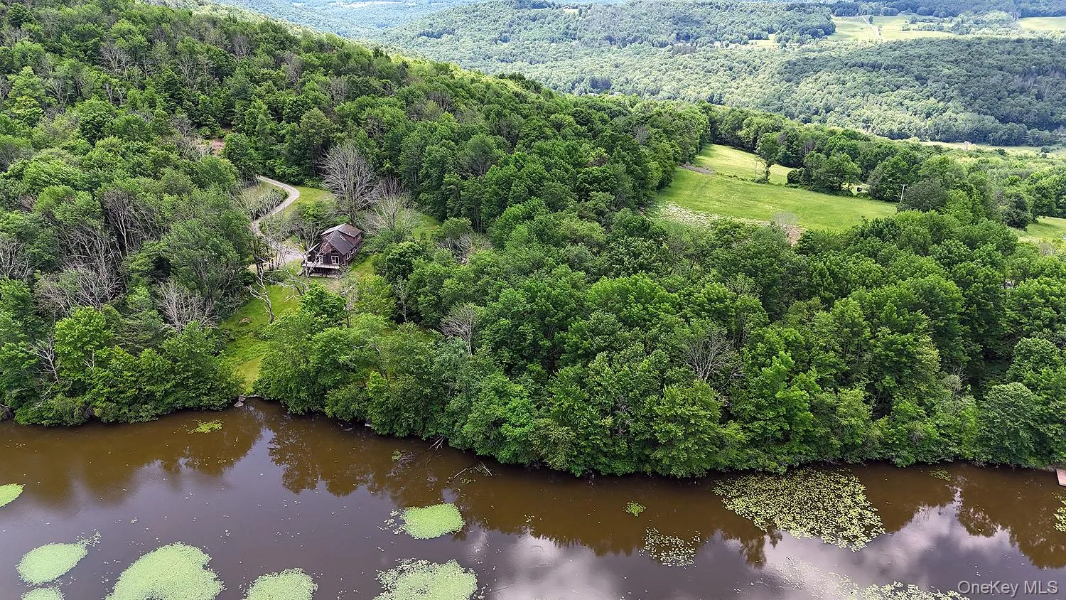 Blackberry Lake Road, Callicoon, NY, ,Land,For Rent,Blackberry Lake,0,932984 Blackberry Lake Road, Callicoon, NY, ,Land,For Rent,Blackberry Lake,0,932984