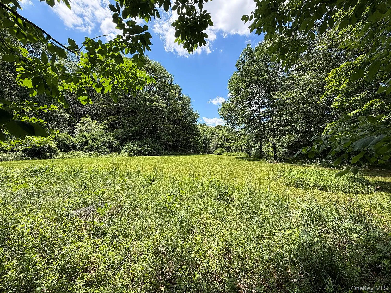 Blackberry Lake Road, Callicoon, NY, ,Land,For Rent,Blackberry Lake,0,932984 Blackberry Lake Road, Callicoon, NY, ,Land,For Rent,Blackberry Lake,0,932984