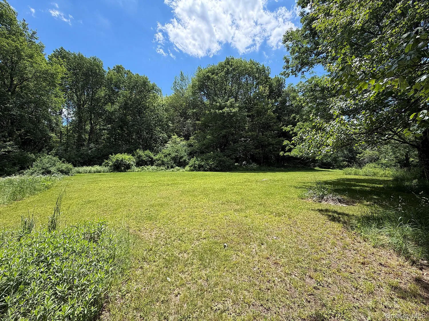 Blackberry Lake Road, Callicoon, NY, ,Land,For Rent,Blackberry Lake,0,932984 Blackberry Lake Road, Callicoon, NY, ,Land,For Rent,Blackberry Lake,0,932984