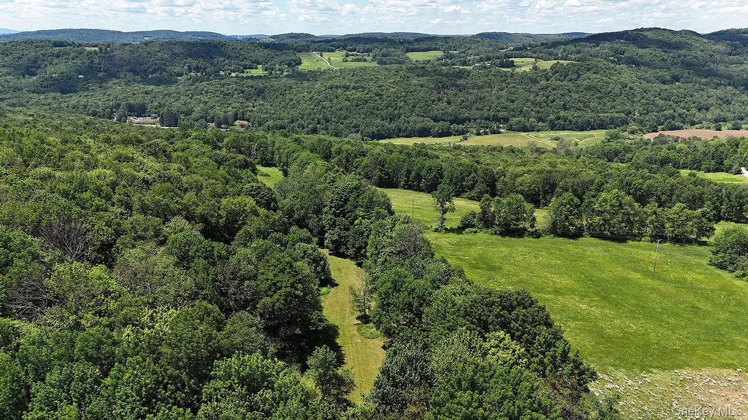 Blackberry Lake Road, Callicoon, NY, ,Land,For Rent,Blackberry Lake,0,932984 Blackberry Lake Road, Callicoon, NY, ,Land,For Rent,Blackberry Lake,0,932984