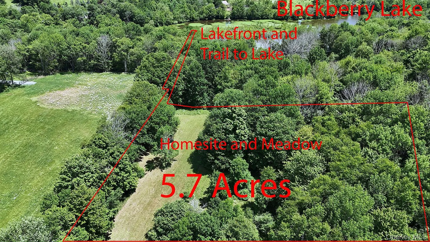 Blackberry Lake Road, Callicoon, NY, ,Land,For Rent,Blackberry Lake,0,932984 Blackberry Lake Road, Callicoon, NY, ,Land,For Rent,Blackberry Lake,0,932984