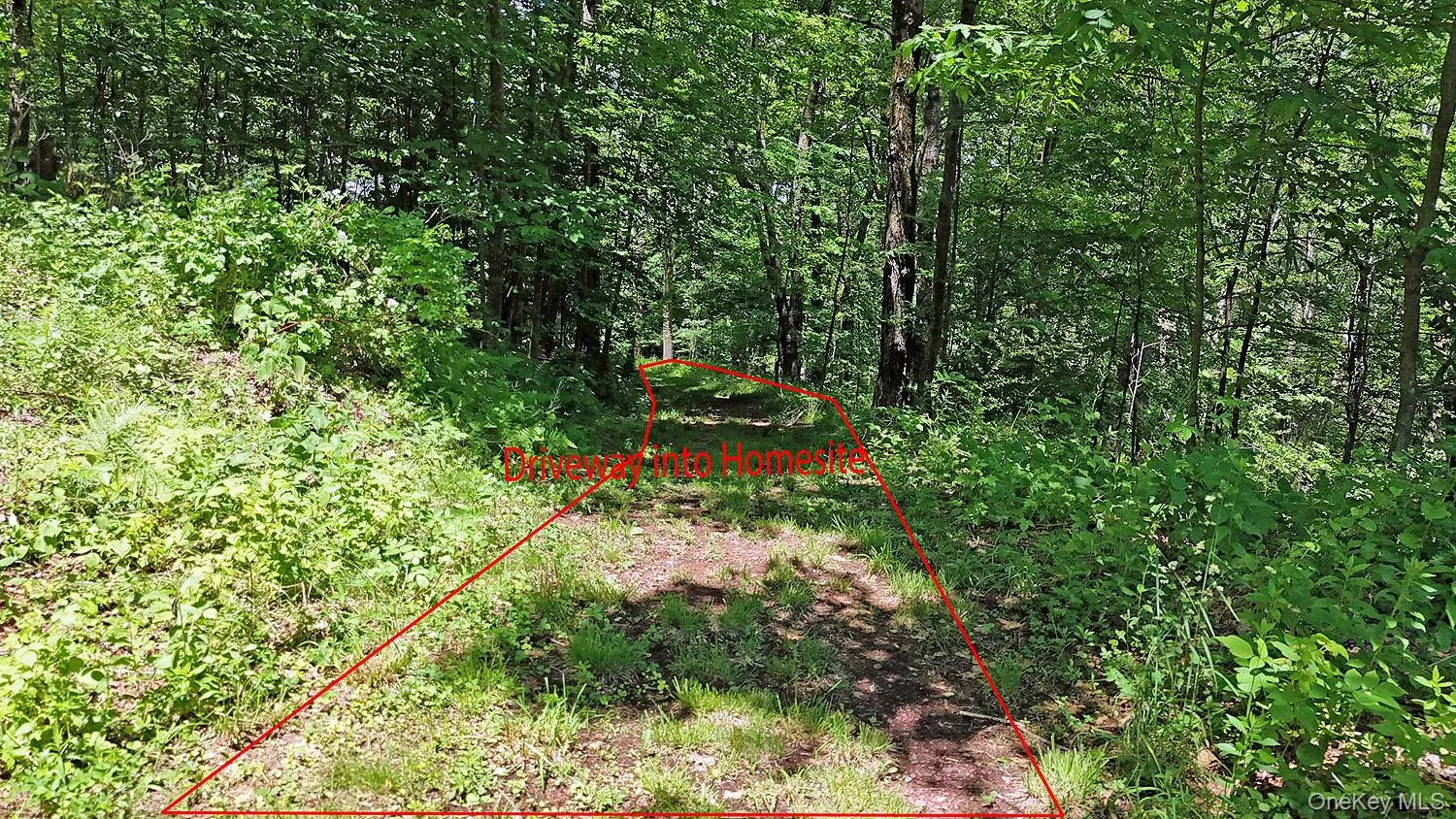 Blackberry Lake Road, Callicoon, NY, ,Land,For Rent,Blackberry Lake,0,932984 Blackberry Lake Road, Callicoon, NY, ,Land,For Rent,Blackberry Lake,0,932984