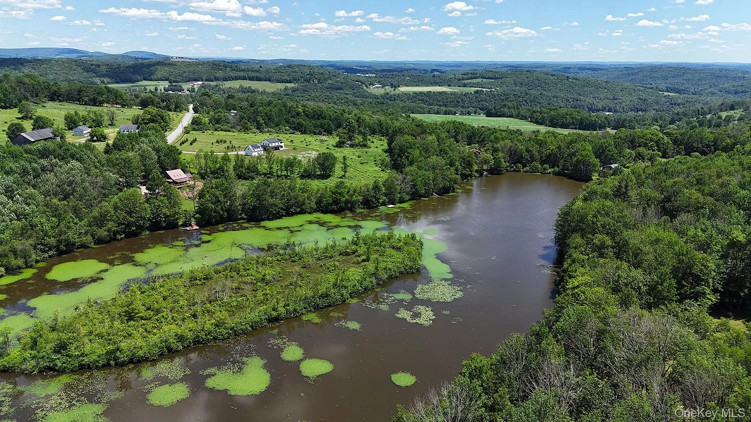 Blackberry Lake Road, Callicoon, NY, ,Land,For Rent,Blackberry Lake,0,932984 Blackberry Lake Road, Callicoon, NY, ,Land,For Rent,Blackberry Lake,0,932984