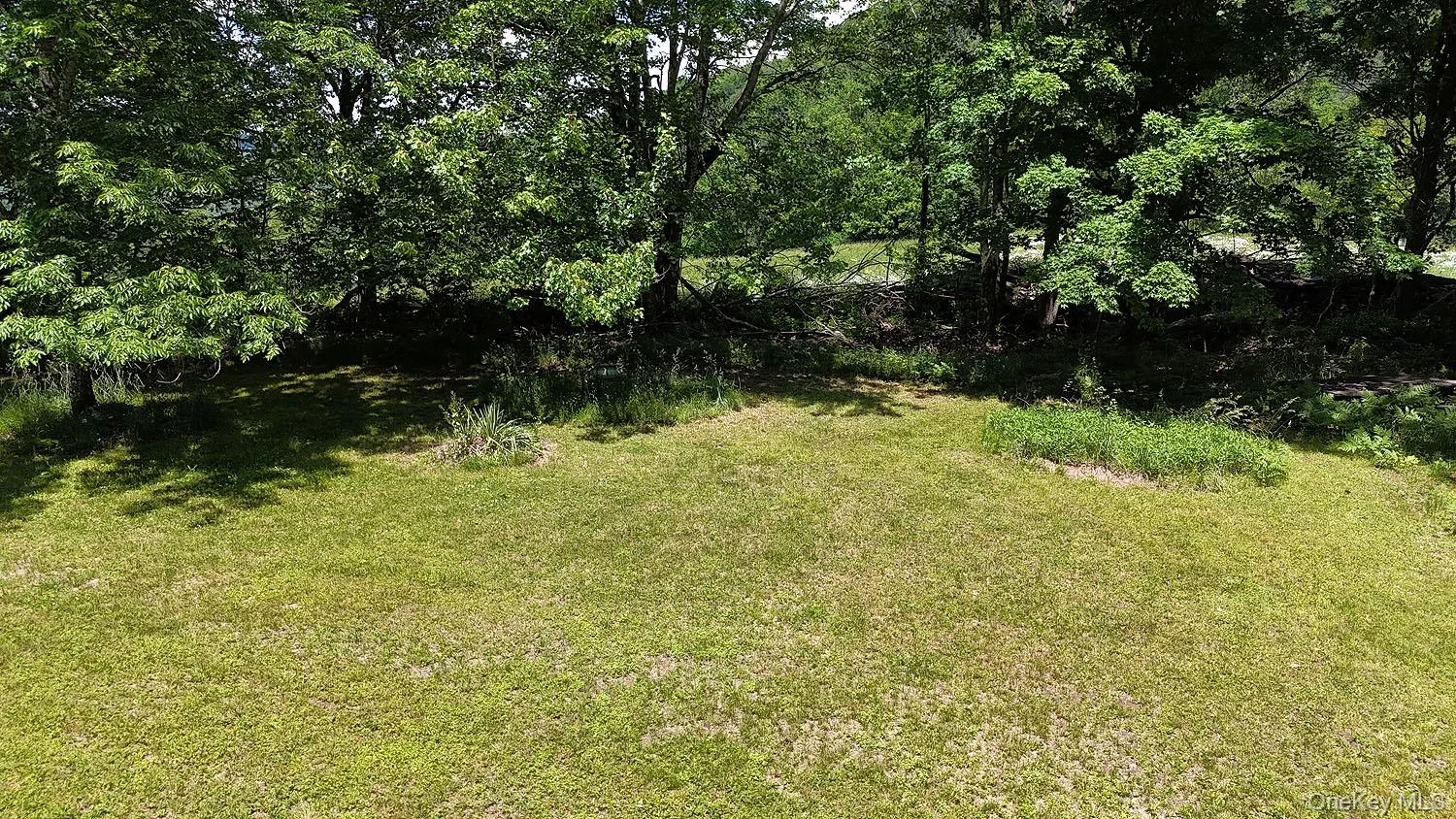 Blackberry Lake Road, Callicoon, NY, ,Land,For Rent,Blackberry Lake,0,932984 Blackberry Lake Road, Callicoon, NY, ,Land,For Rent,Blackberry Lake,0,932984