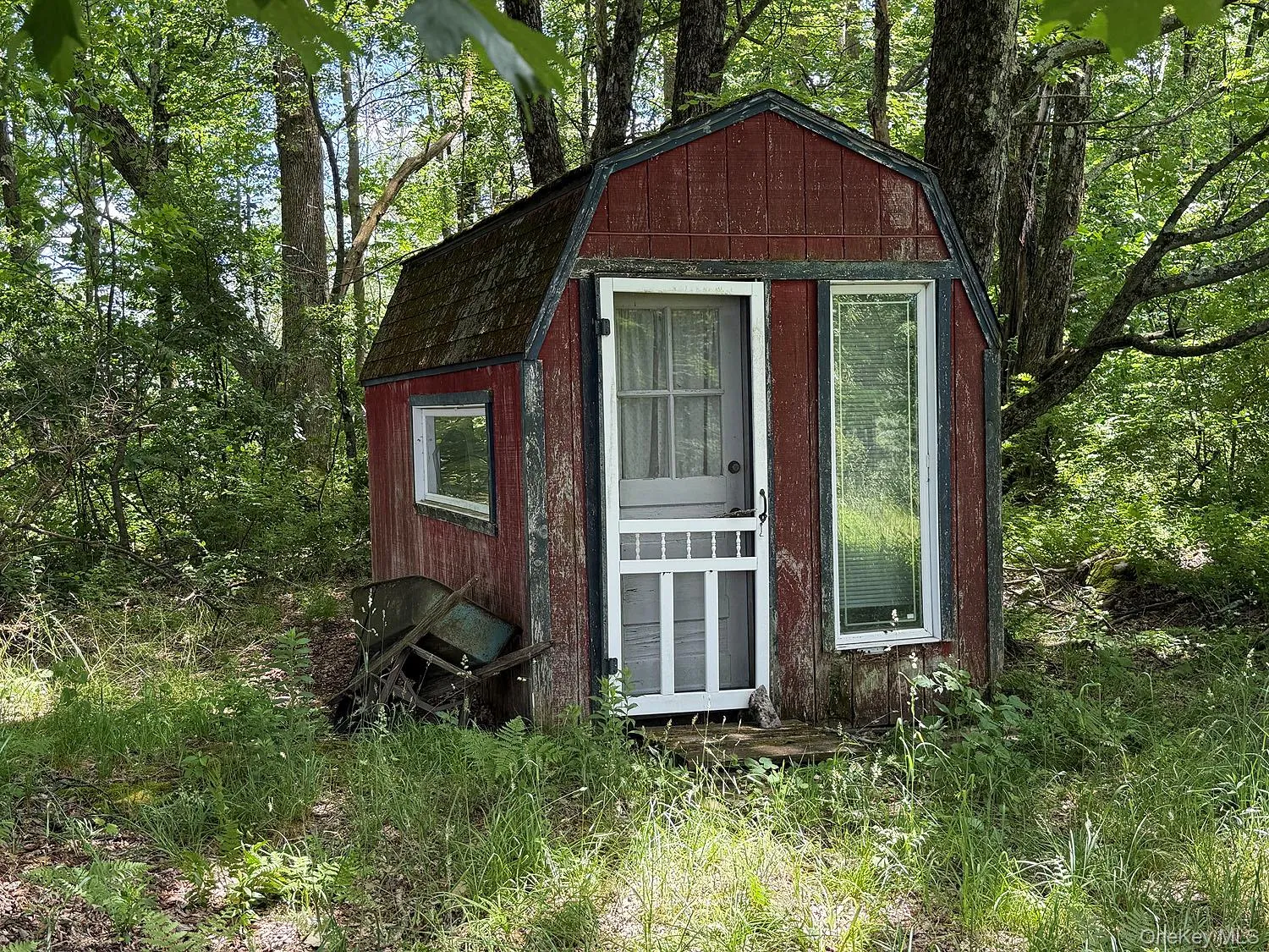 Blackberry Lake Road, Callicoon, NY, ,Land,For Rent,Blackberry Lake,0,932984 Blackberry Lake Road, Callicoon, NY, ,Land,For Rent,Blackberry Lake,0,932984