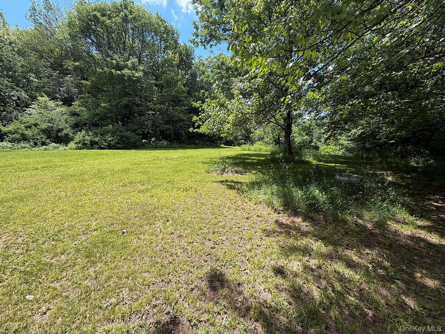 Blackberry Lake Road, Callicoon, NY, ,Land,For Rent,Blackberry Lake,0,932984 Blackberry Lake Road, Callicoon, NY, ,Land,For Rent,Blackberry Lake,0,932984