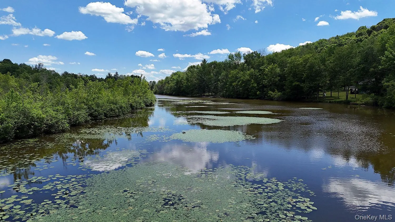 Blackberry Lake Road, Callicoon, NY, ,Land,For Rent,Blackberry Lake,0,932984 Blackberry Lake Road, Callicoon, NY, ,Land,For Rent,Blackberry Lake,0,932984