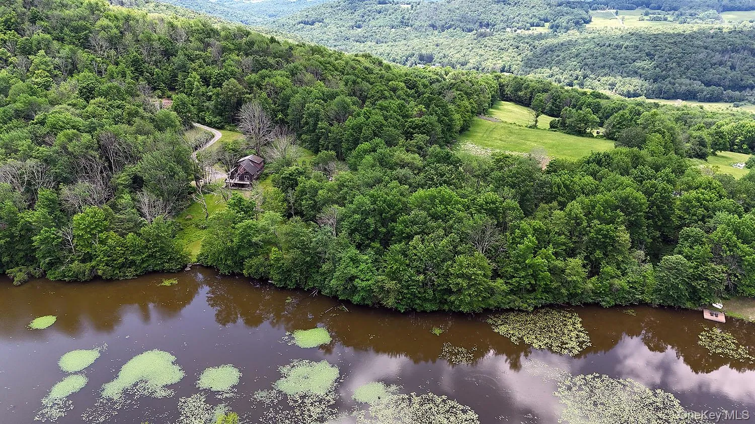 Blackberry Lake Road, Callicoon, NY, ,Land,For Rent,Blackberry Lake,0,932984 Blackberry Lake Road, Callicoon, NY, ,Land,For Rent,Blackberry Lake,0,932984