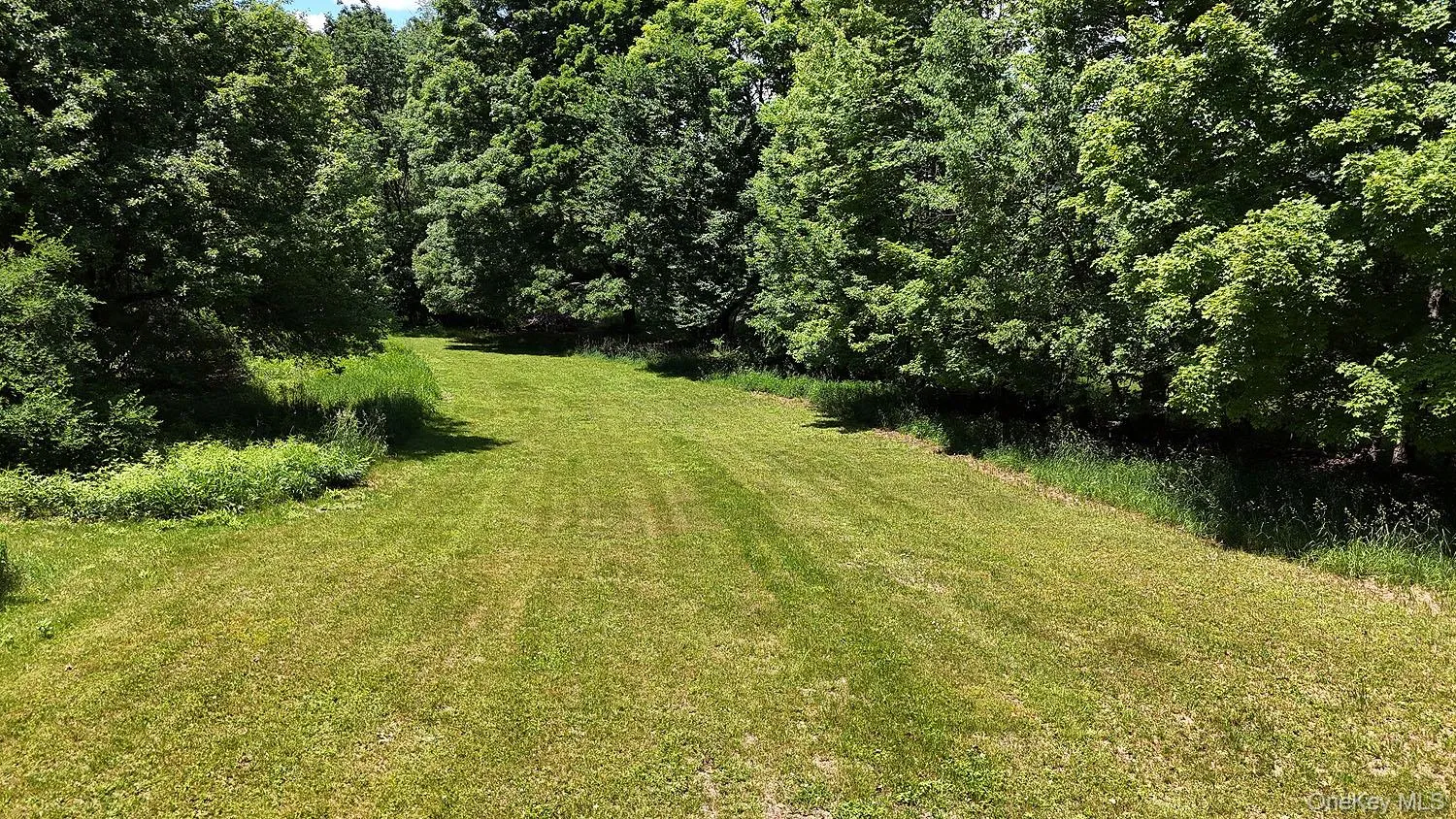 Blackberry Lake Road, Callicoon, NY, ,Land,For Rent,Blackberry Lake,0,932984 Blackberry Lake Road, Callicoon, NY, ,Land,For Rent,Blackberry Lake,0,932984