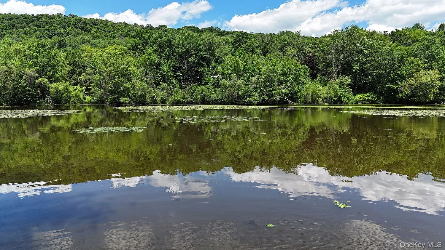 Blackberry Lake Road, Callicoon, NY, ,Land,For Rent,Blackberry Lake,0,932984 Blackberry Lake Road, Callicoon, NY, ,Land,For Rent,Blackberry Lake,0,932984