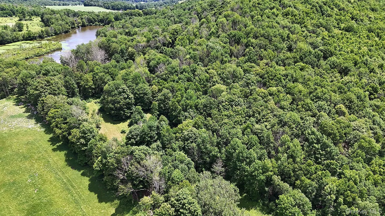 Blackberry Lake Road, Callicoon, NY, ,Land,For Rent,Blackberry Lake,0,932984 Blackberry Lake Road, Callicoon, NY, ,Land,For Rent,Blackberry Lake,0,932984