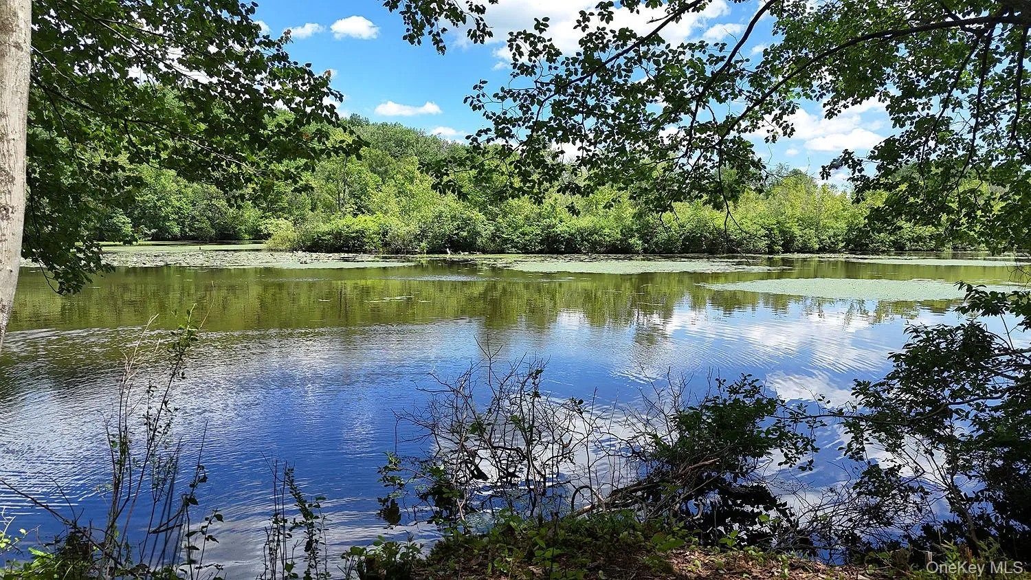 Blackberry Lake Road, Callicoon, NY, ,Land,For Rent,Blackberry Lake,0,932984 Blackberry Lake Road, Callicoon, NY, ,Land,For Rent,Blackberry Lake,0,932984