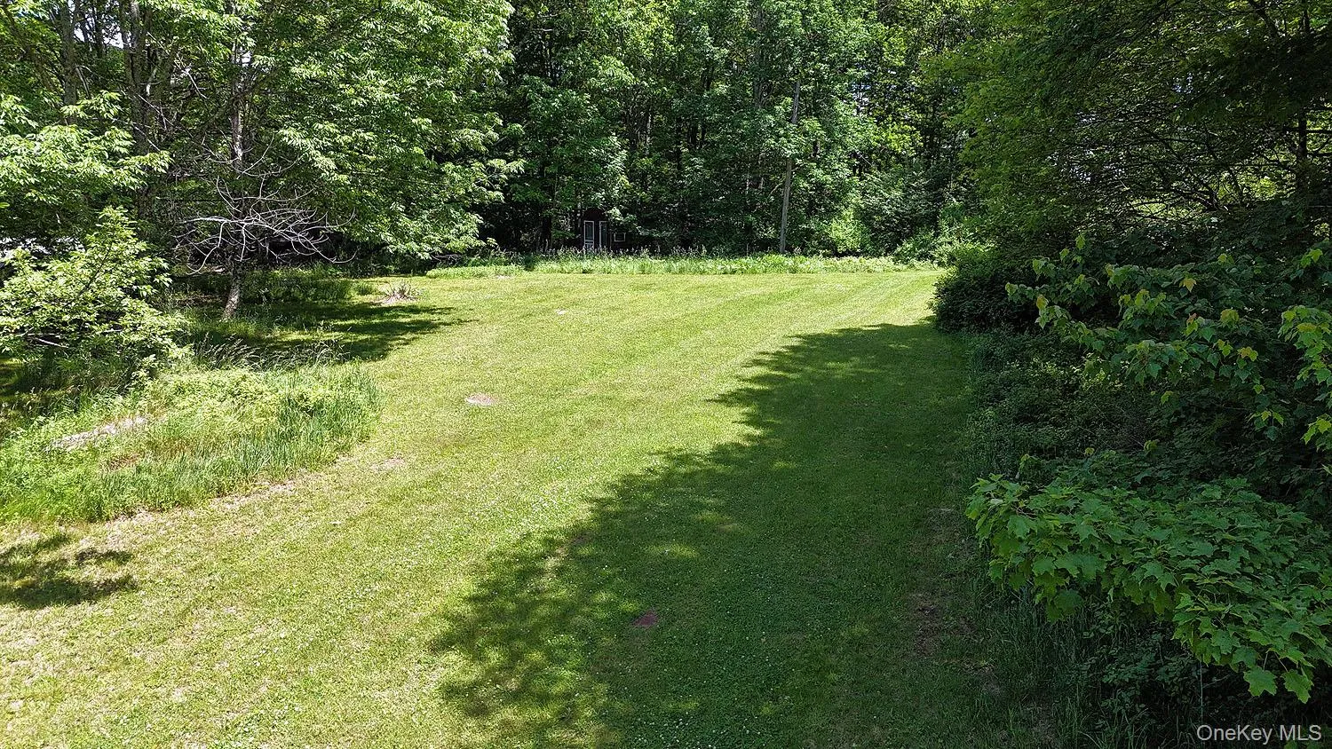 Blackberry Lake Road, Callicoon, NY, ,Land,For Rent,Blackberry Lake,0,932984 Blackberry Lake Road, Callicoon, NY, ,Land,For Rent,Blackberry Lake,0,932984