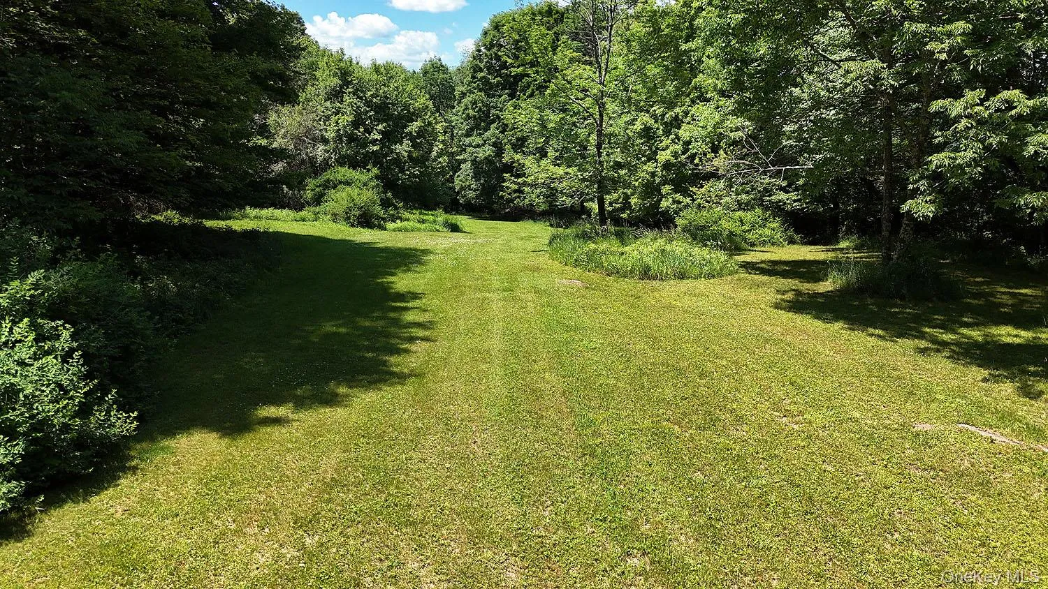 Blackberry Lake Road, Callicoon, NY, ,Land,For Rent,Blackberry Lake,0,932984 Blackberry Lake Road, Callicoon, NY, ,Land,For Rent,Blackberry Lake,0,932984