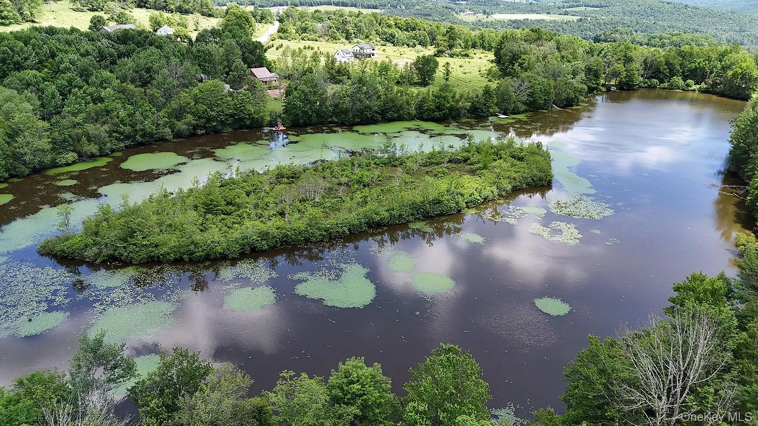 Blackberry Lake Road, Callicoon, NY, ,Land,For Rent,Blackberry Lake,0,932984 Blackberry Lake Road, Callicoon, NY, ,Land,For Rent,Blackberry Lake,0,932984