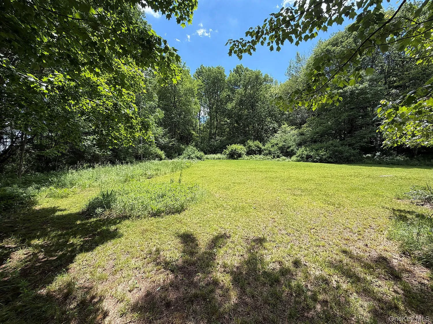 Blackberry Lake Road, Callicoon, NY, ,Land,For Rent,Blackberry Lake,0,932984 Blackberry Lake Road, Callicoon, NY, ,Land,For Rent,Blackberry Lake,0,932984