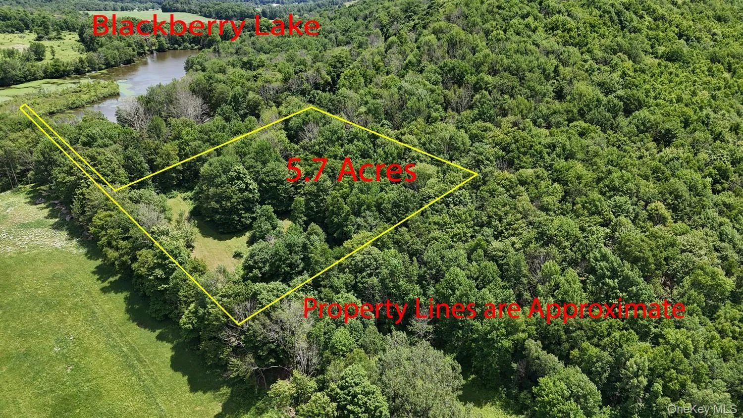 Blackberry Lake Road, Callicoon, NY, ,Land,For Rent,Blackberry Lake,0,932984 Blackberry Lake Road, Callicoon, NY, ,Land,For Rent,Blackberry Lake,0,932984