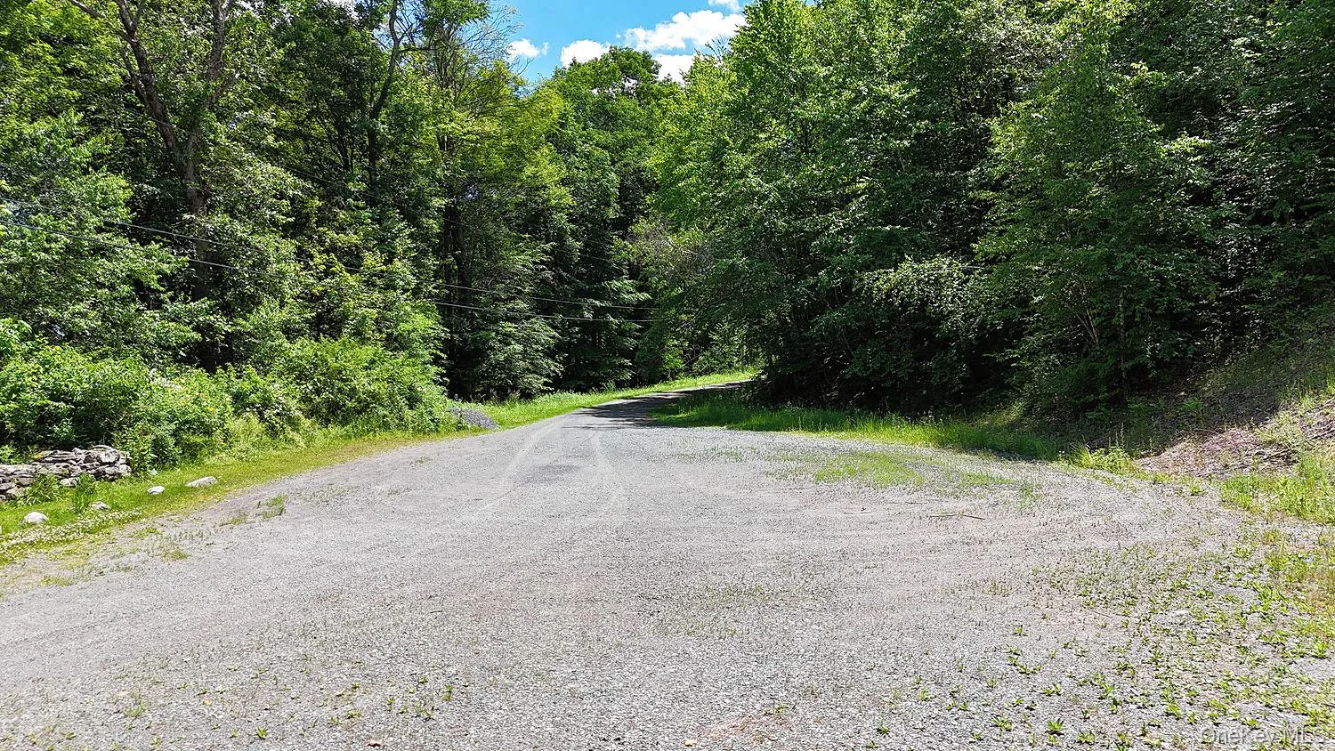 Blackberry Lake Road, Callicoon, NY, ,Land,For Rent,Blackberry Lake,0,932984 Blackberry Lake Road, Callicoon, NY, ,Land,For Rent,Blackberry Lake,0,932984