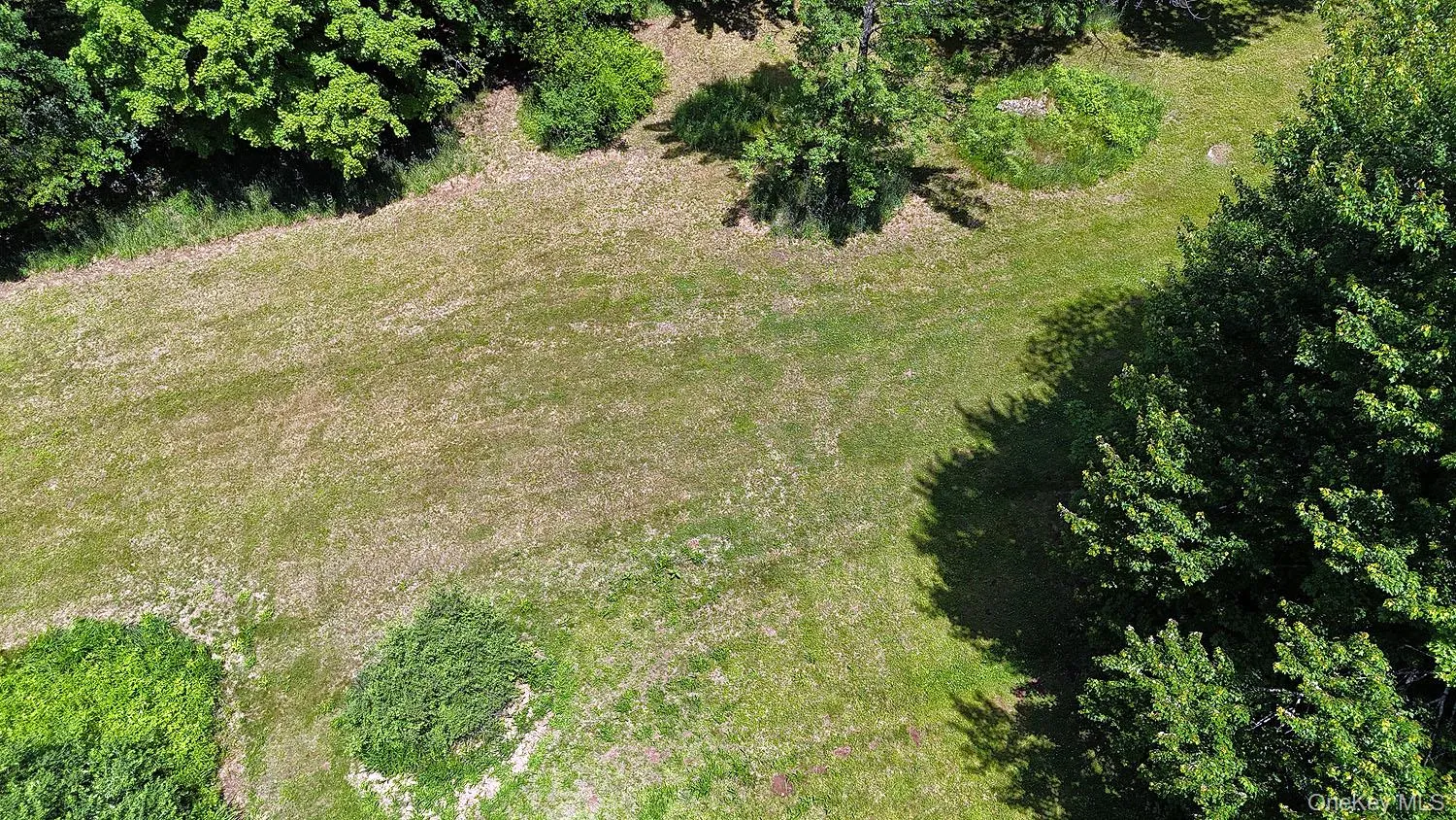 Blackberry Lake Road, Callicoon, NY, ,Land,For Rent,Blackberry Lake,0,932984 Blackberry Lake Road, Callicoon, NY, ,Land,For Rent,Blackberry Lake,0,932984