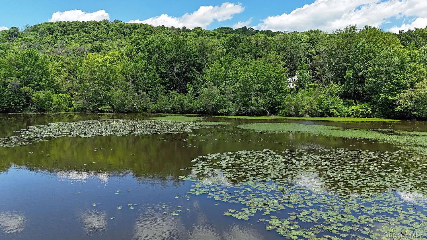 Blackberry Lake Road, Callicoon, NY, ,Land,For Rent,Blackberry Lake,0,932984 Blackberry Lake Road, Callicoon, NY, ,Land,For Rent,Blackberry Lake,0,932984