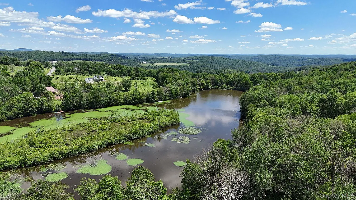Blackberry Lake Road, Callicoon, NY, ,Land,For Rent,Blackberry Lake,0,932984 Blackberry Lake Road, Callicoon, NY, ,Land,For Rent,Blackberry Lake,0,932984