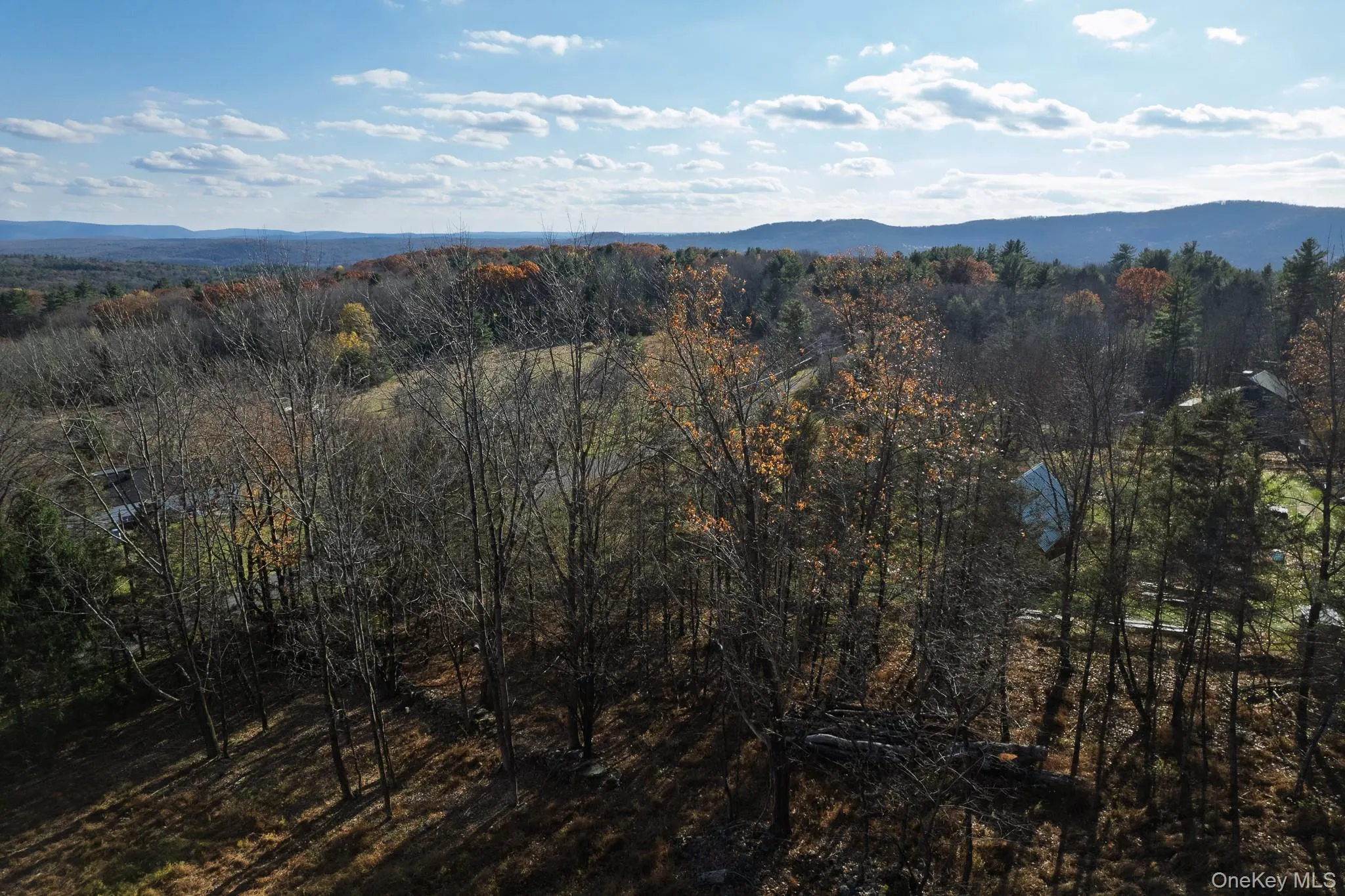 View of mountain background with a heavily wooded area View of mountain background with a heavily wooded area
