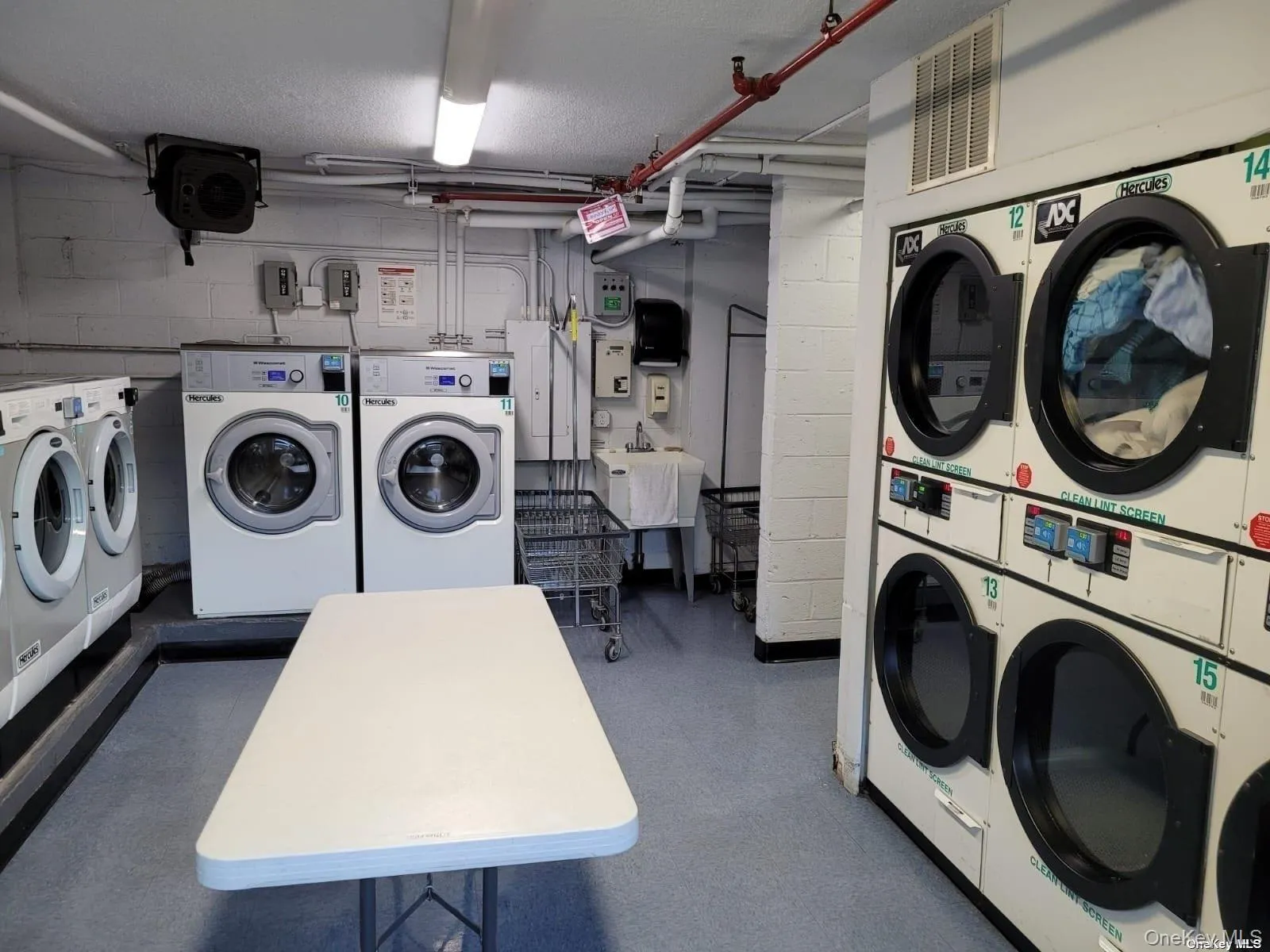 118-17 Union Turnpike, New York, NY, 1 Bedroom Bedrooms, 3 Rooms Rooms,1 BathroomBathrooms,Residential Lease,Idx,Union,0,933048 118-17 Union Turnpike, New York, NY, 1 Bedroom Bedrooms, 3 Rooms Rooms,1 BathroomBathrooms,Residential Lease,Idx,Union,0,933048