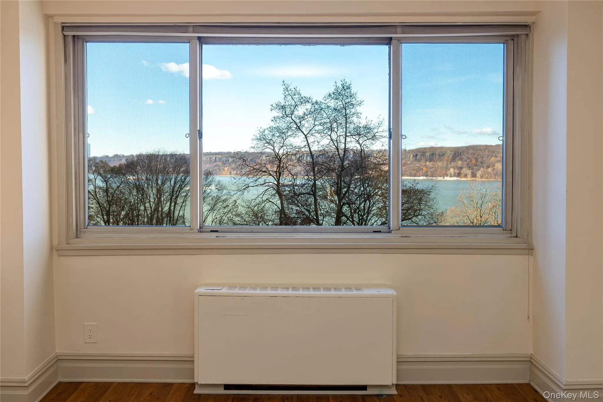 Unfurnished room with radiator, healthy amount of natural light, and dark wood-style flooring Unfurnished room with radiator, healthy amount of natural light, and dark wood-style flooring