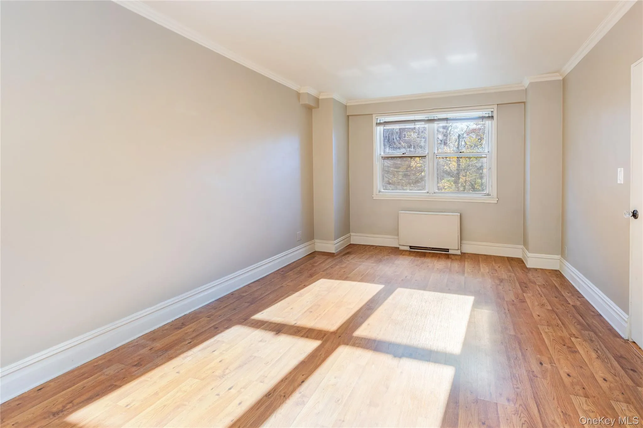 Empty room featuring radiator, light wood-type flooring, and crown molding Empty room featuring radiator, light wood-type flooring, and crown molding