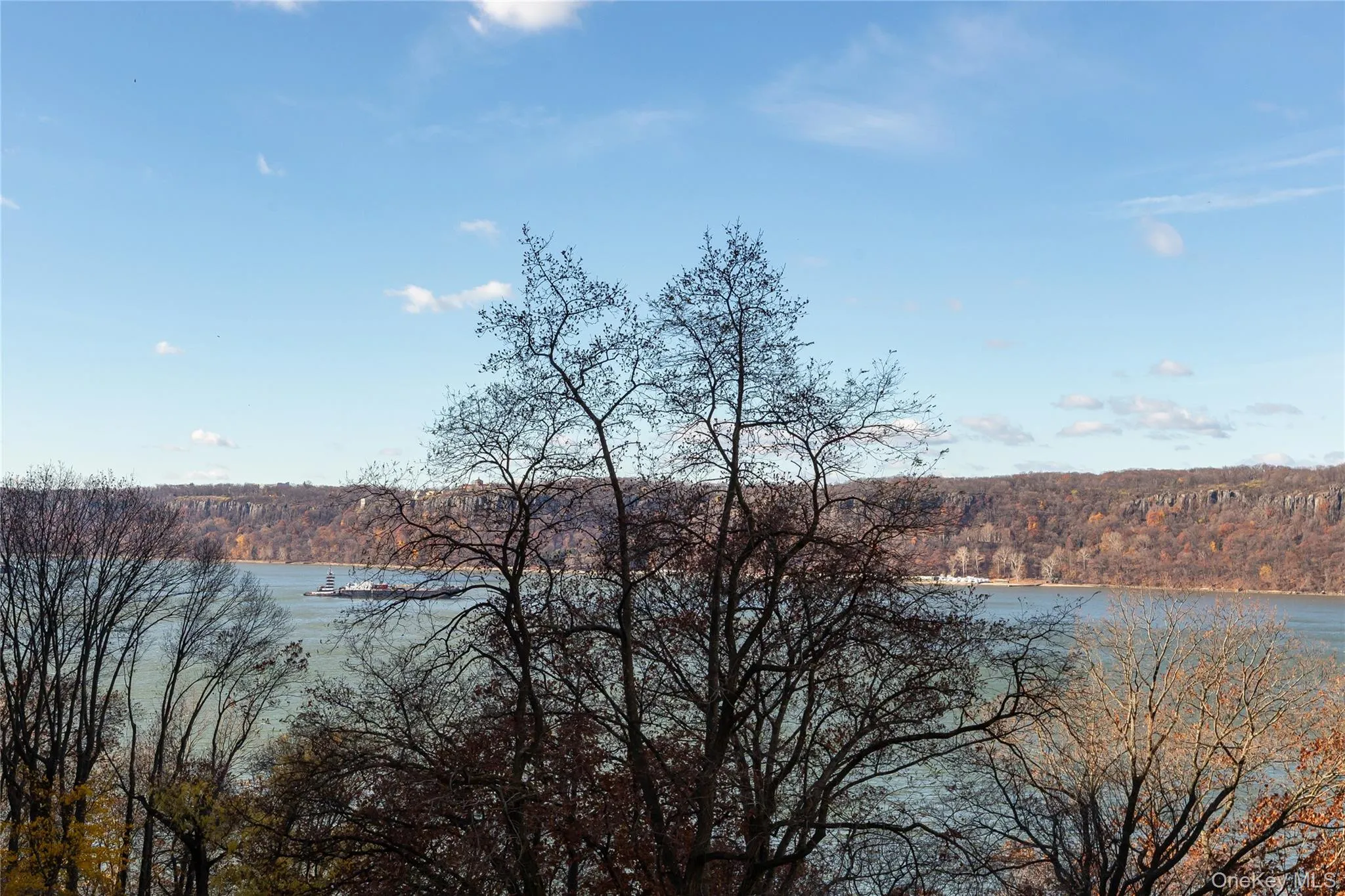 Water view with a heavily wooded area Water view with a heavily wooded area