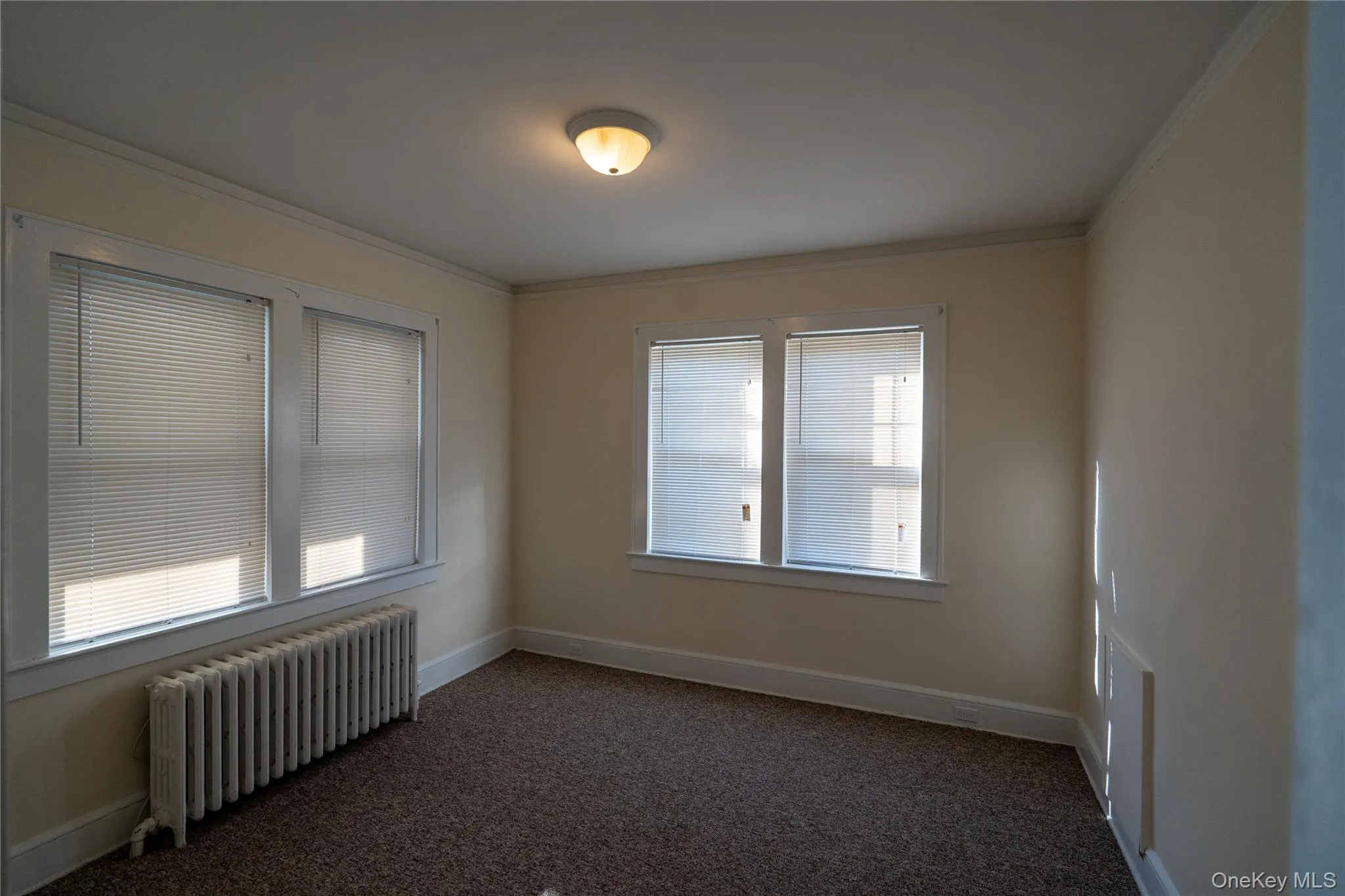 Unfurnished room with carpet floors, radiator, and crown molding Unfurnished room with carpet floors, radiator, and crown molding