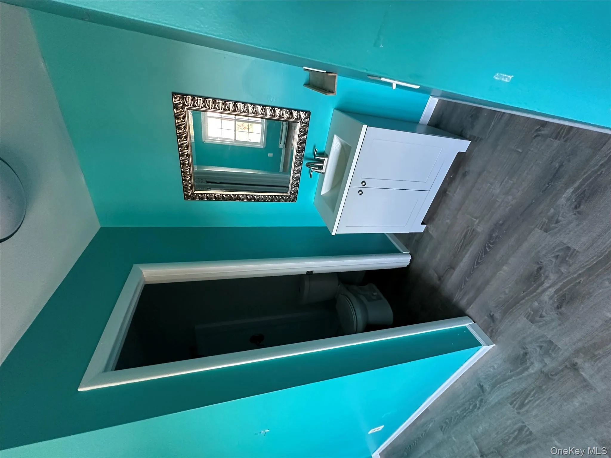 Bathroom with vanity and dark wood-style flooring Bathroom with vanity and dark wood-style flooring