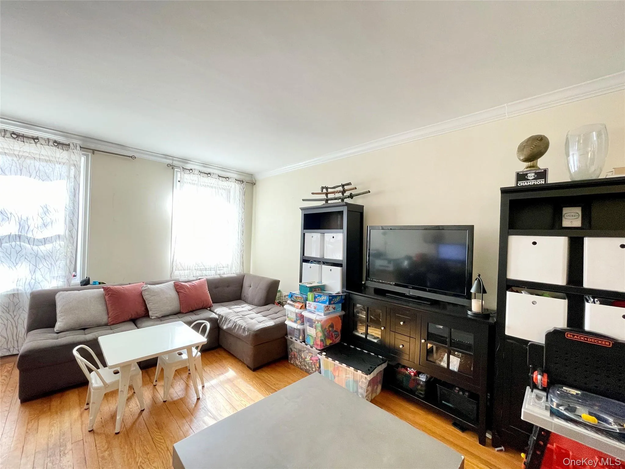 Living room with ornamental molding and light wood-type flooring Living room with ornamental molding and light wood-type flooring