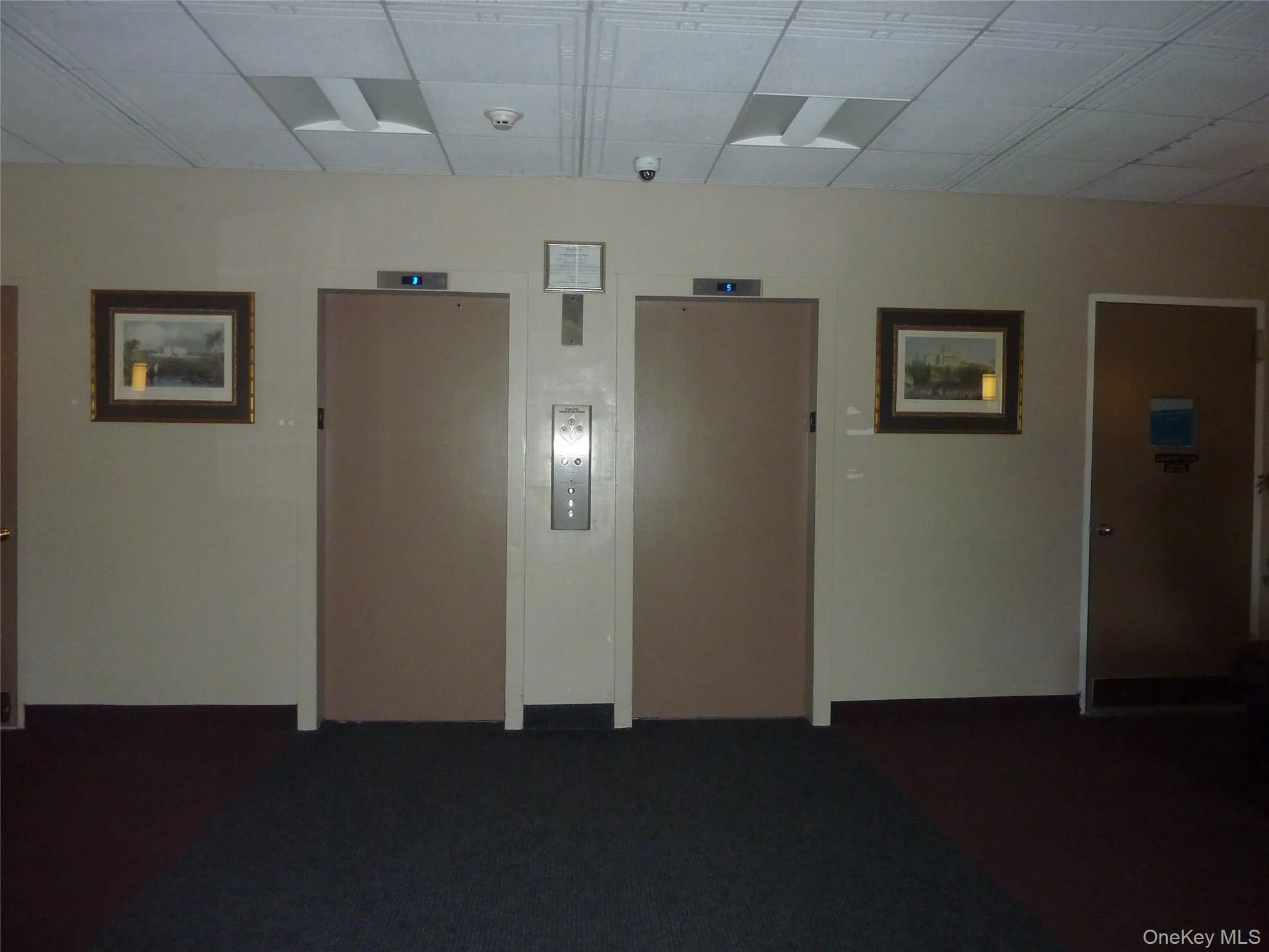 Empty room with elevator, a paneled ceiling, and carpet flooring Empty room with elevator, a paneled ceiling, and carpet flooring
