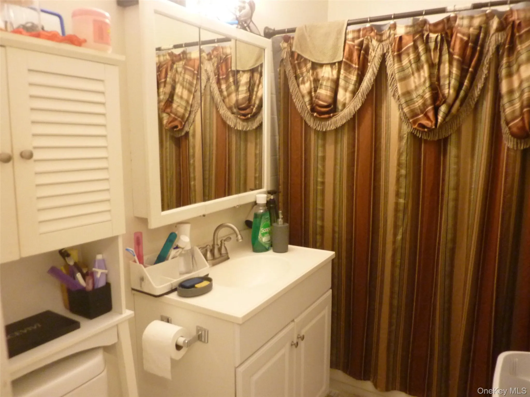 Bathroom featuring vanity and a shower with shower curtain Bathroom featuring vanity and a shower with shower curtain
